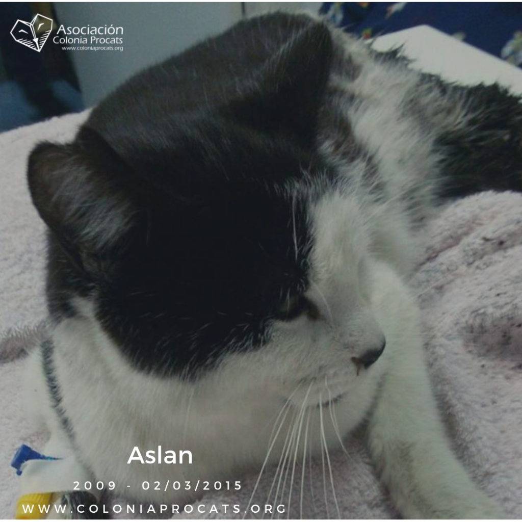ASLAN