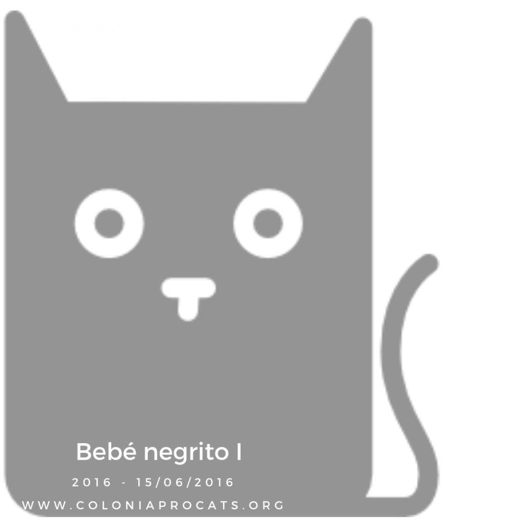 BEBÉ NEGRITO I
