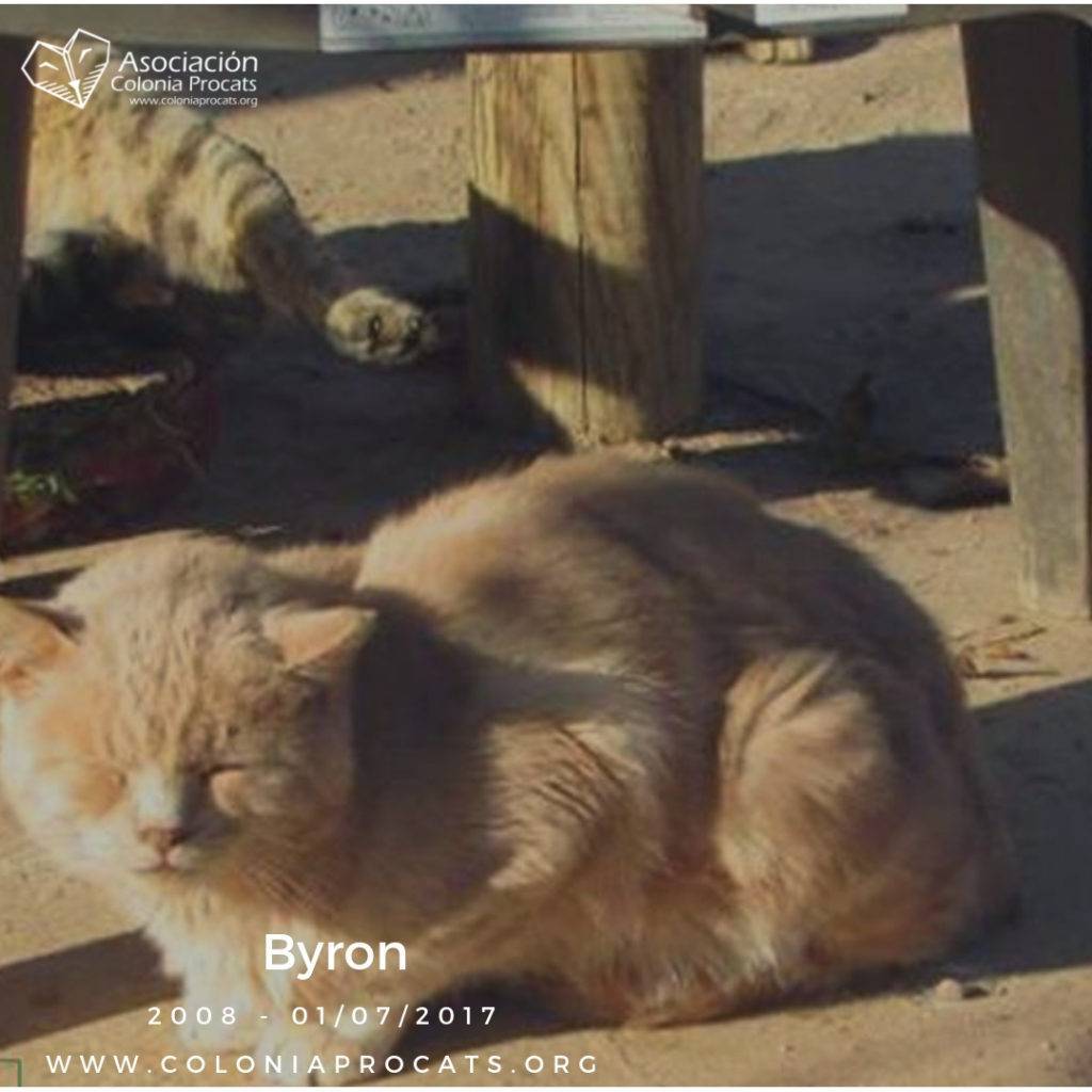 BYRON