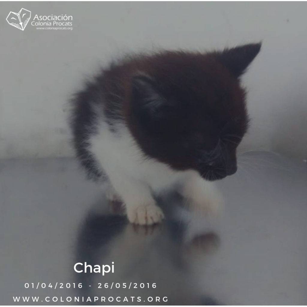 CHAPI