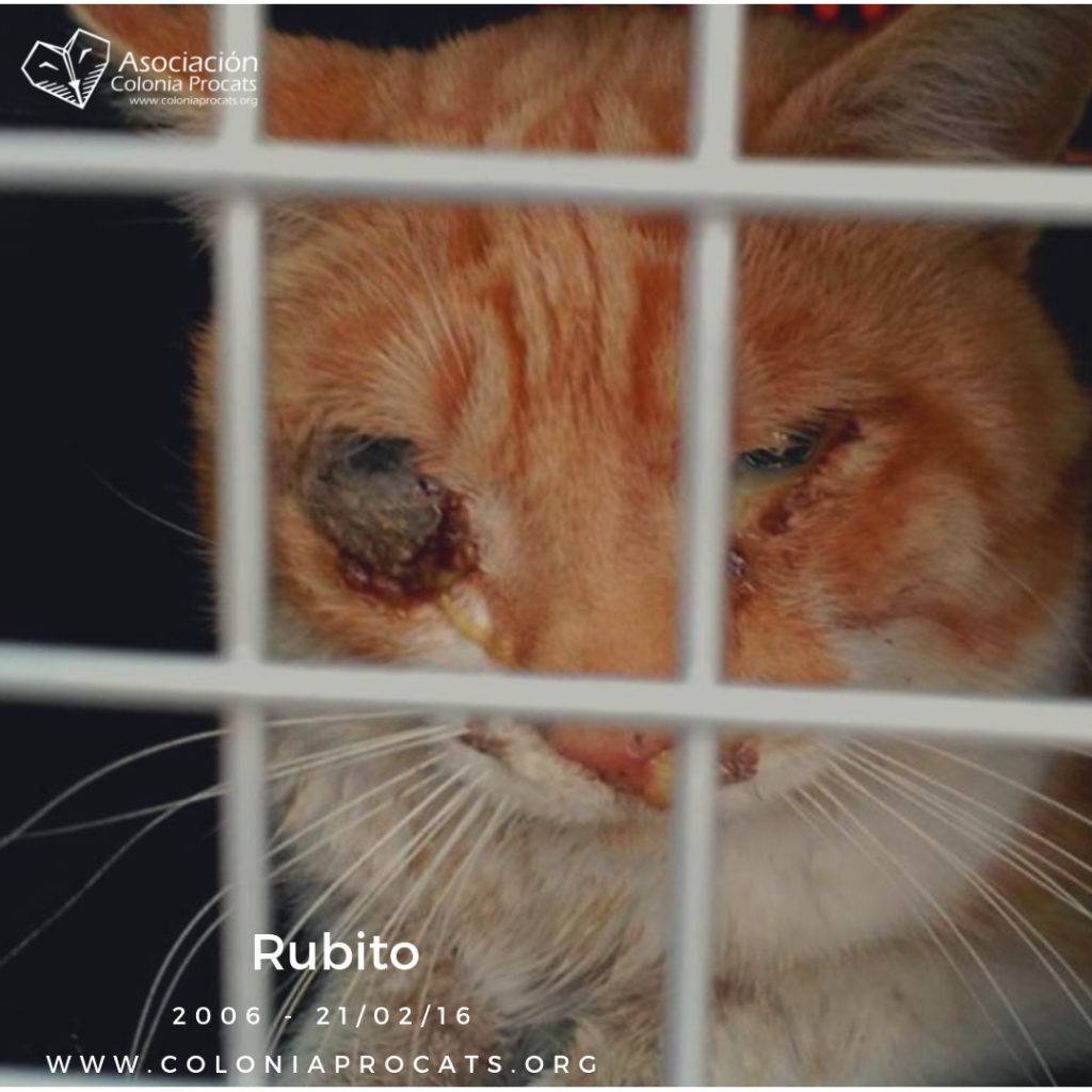 RUBITO