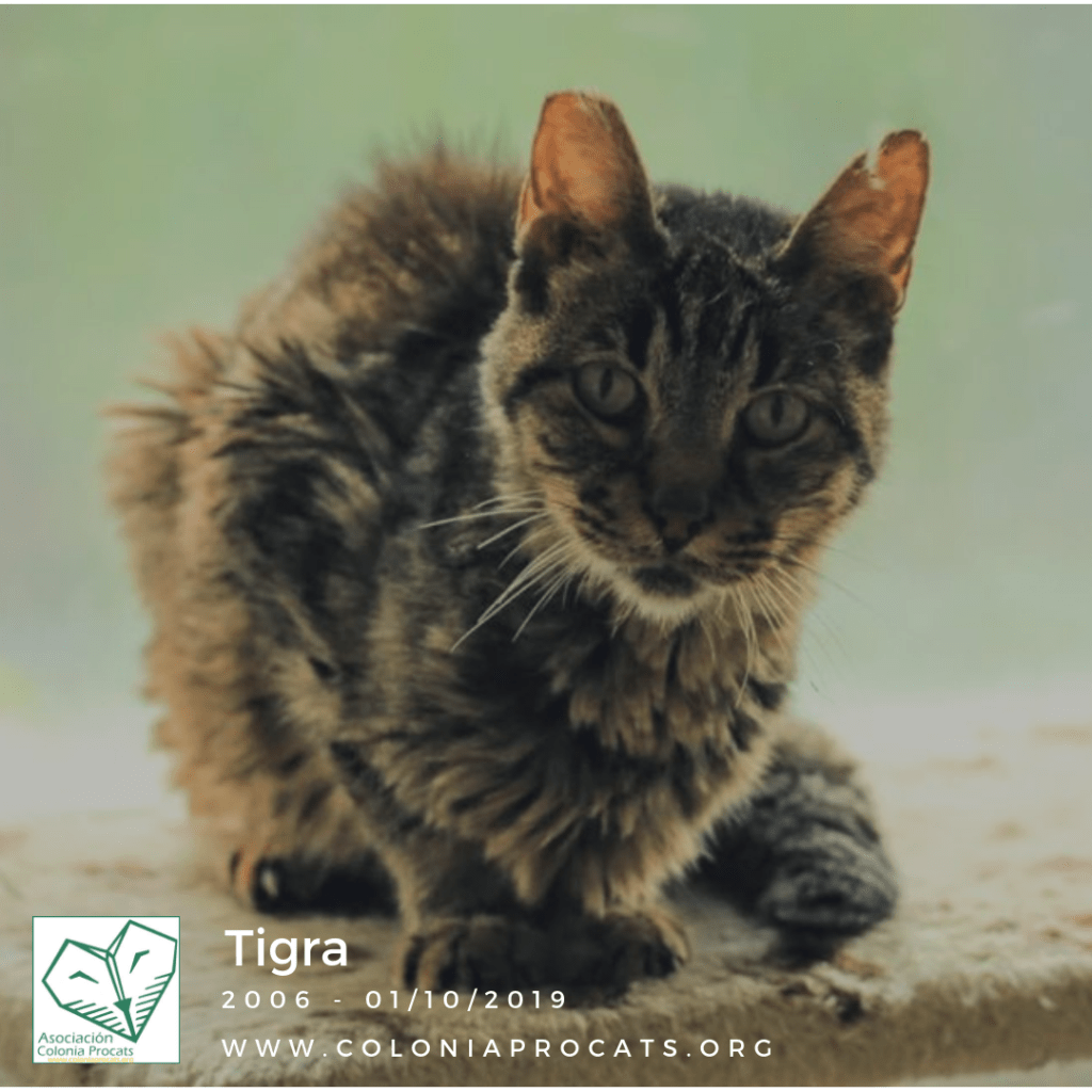 TIGRA