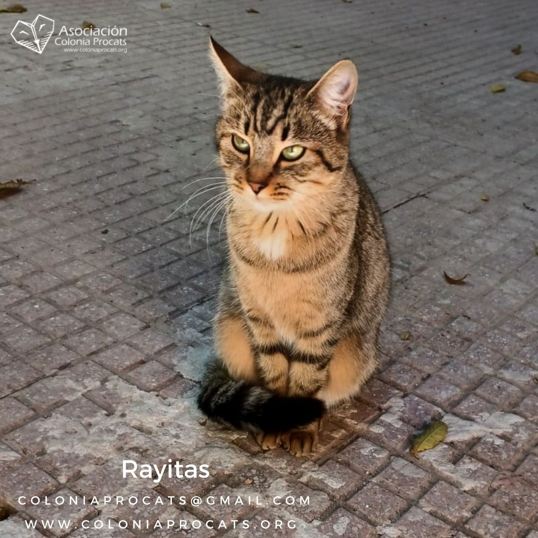 RAYITAS: UNA PEQUE POSITIVA